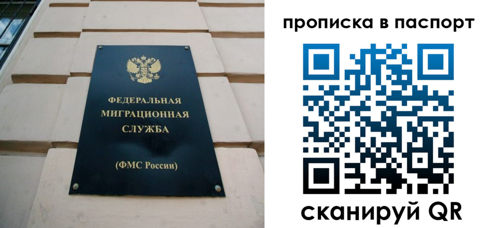 найти адрес прописки в Гвардейске